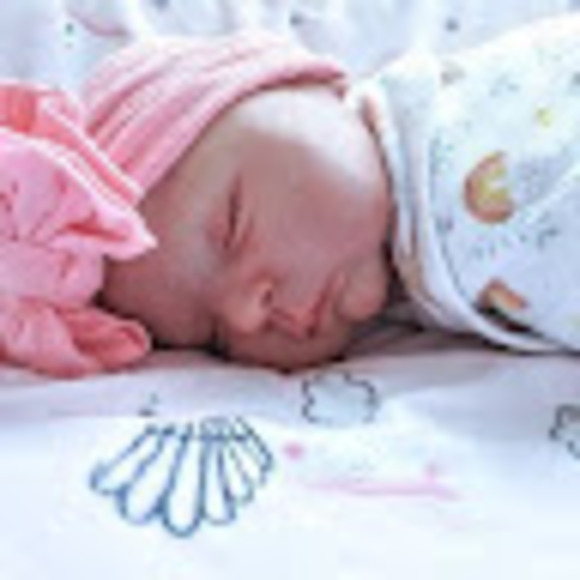 Meet your Posher, Tara - Picture 1 of 1